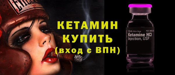 трава Коряжма