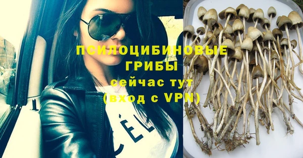круглые Алексин