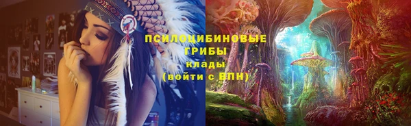 спиды Алзамай