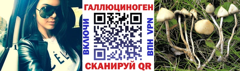 Псилоцибиновые грибы Psilocybe  как найти закладки  Миасс 